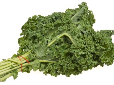 Freshly Harvested Kale Cabbage